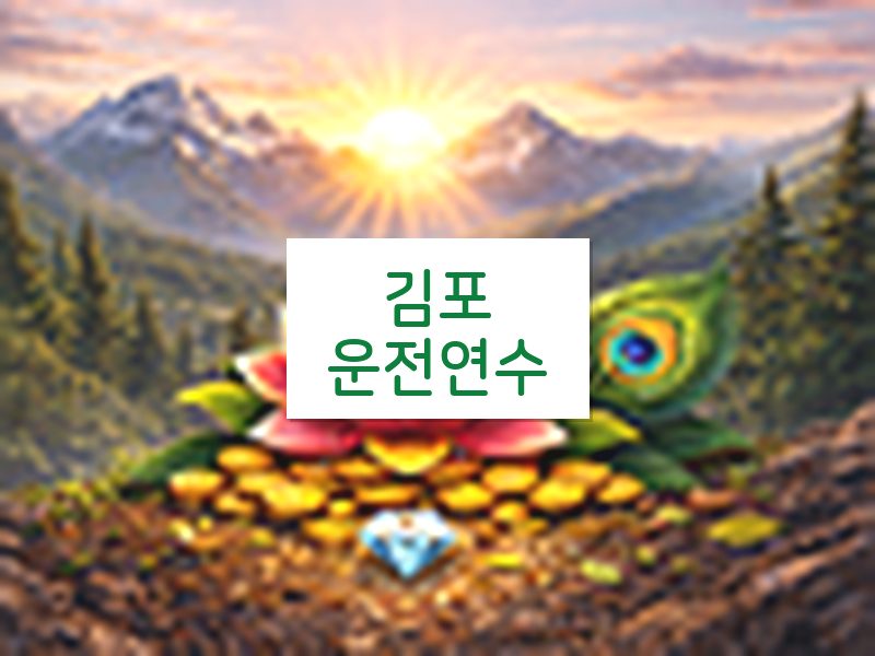 김포운전연수 후기