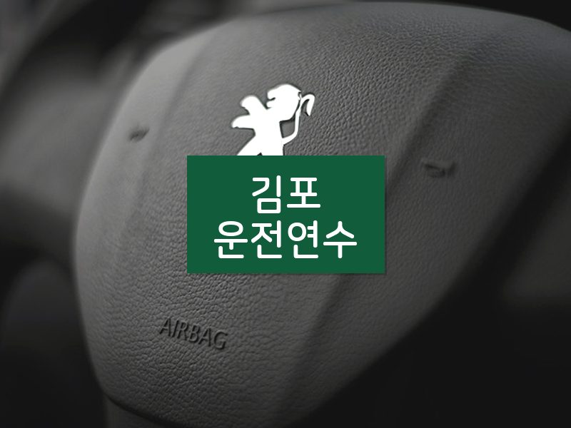 김포운전연수 후기
