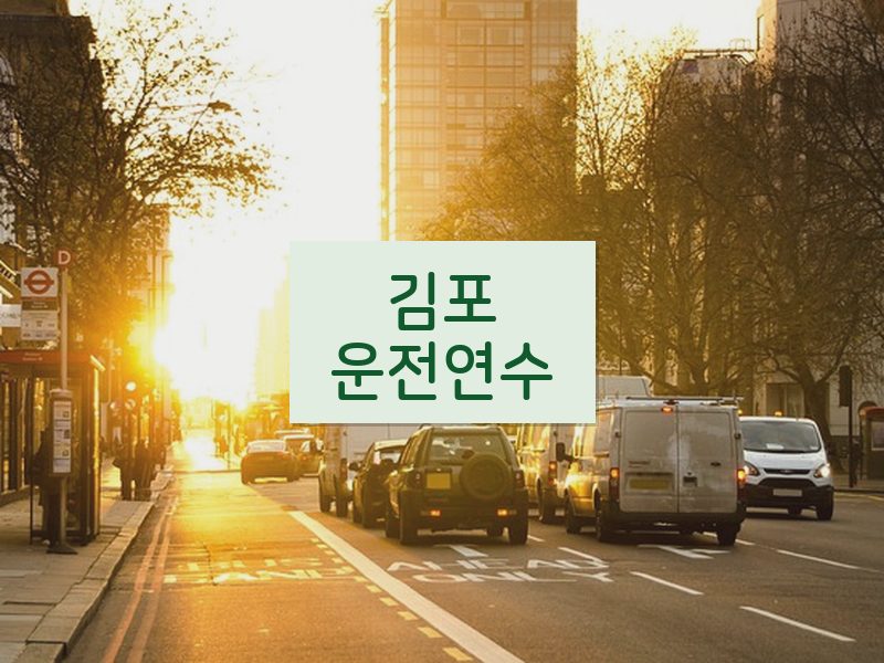 김포운전연수 후기