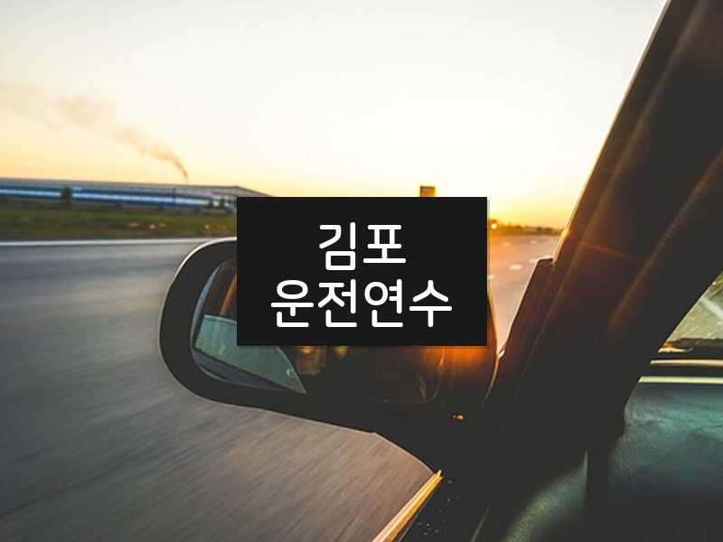 김포운전연수 후기