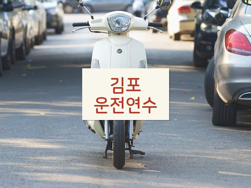 김포운전연수 후기