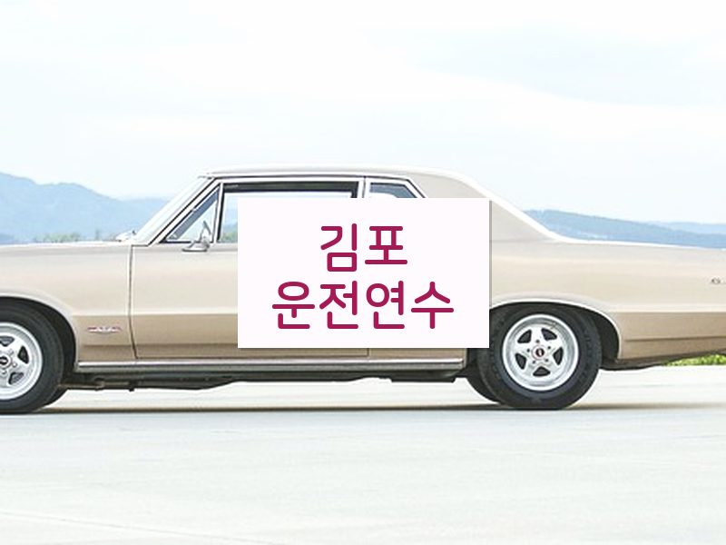 김포운전연수 후기