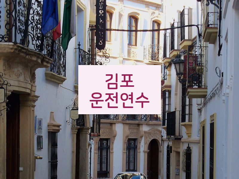 김포운전연수 후기