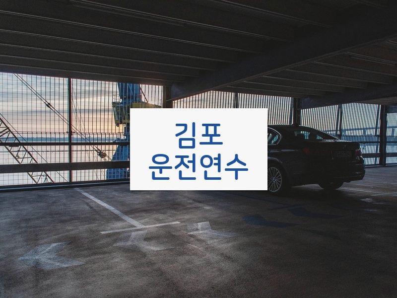 김포운전연수 후기