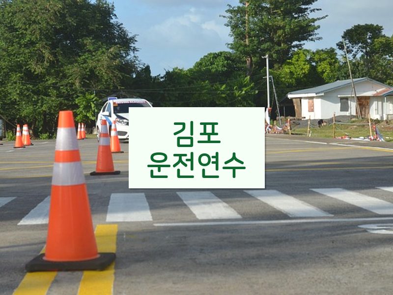 김포운전연수 후기