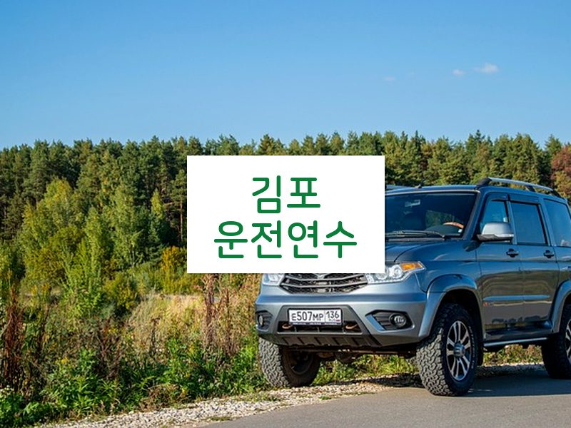 김포운전연수 후기