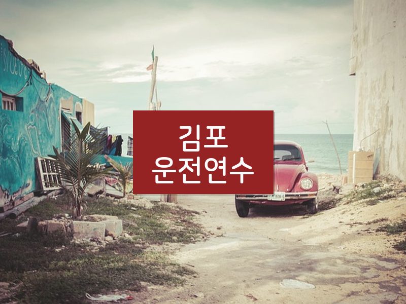 김포운전연수 후기