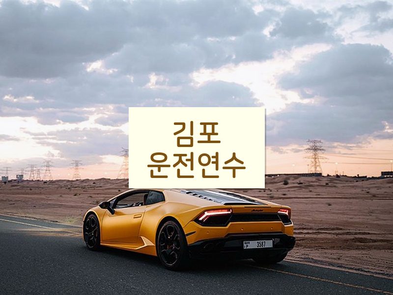 김포운전연수 후기