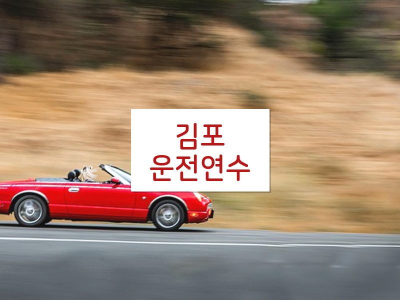 김포운전연수 후기