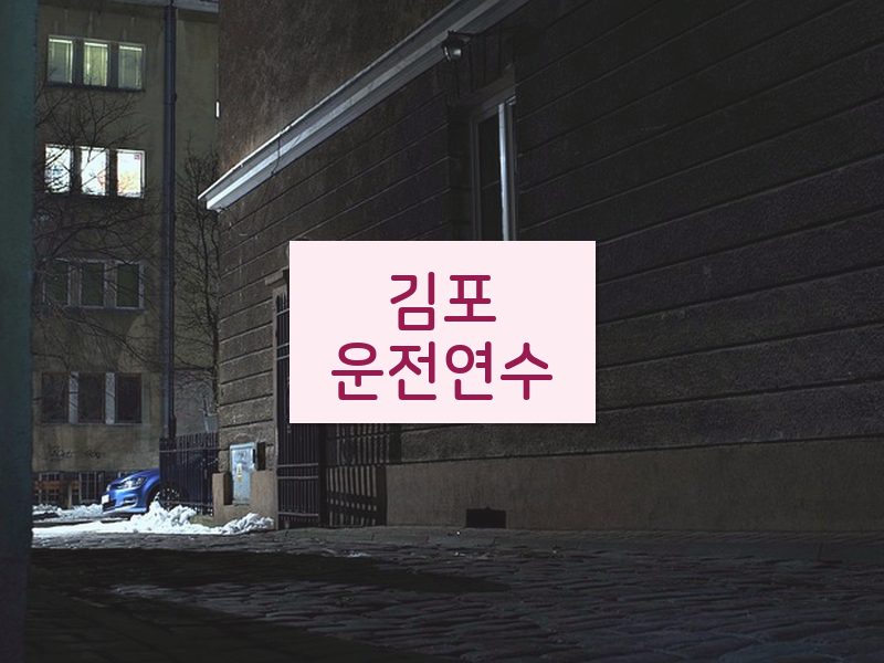 김포운전연수 후기