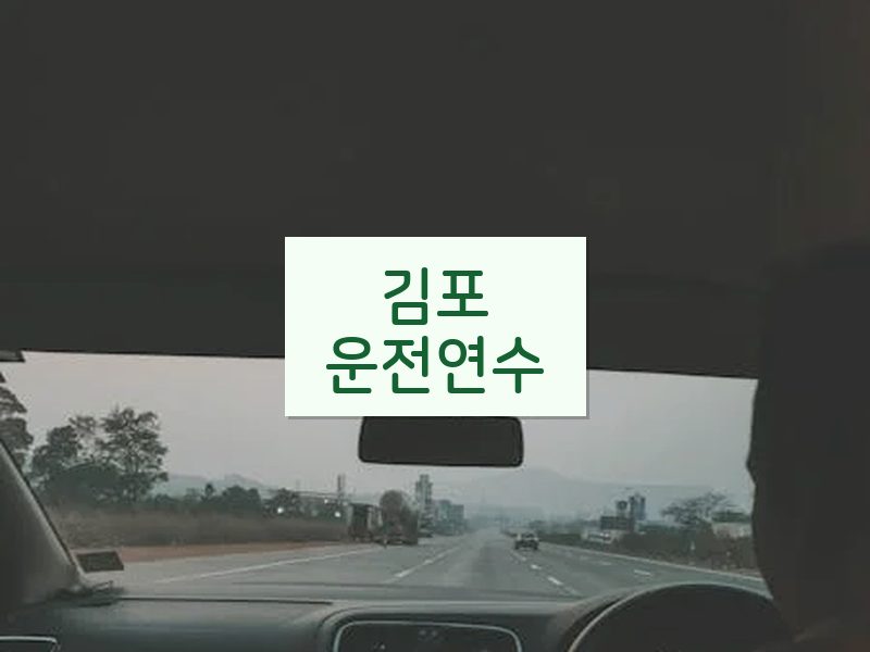 김포운전연수 후기