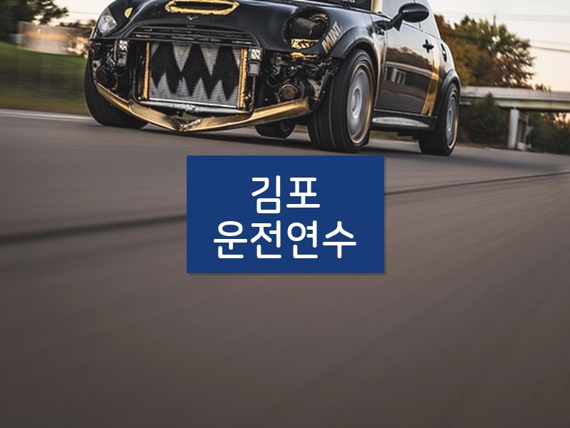 김포운전연수 후기