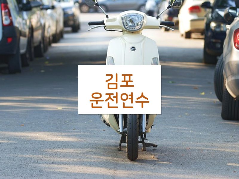 김포운전연수 후기