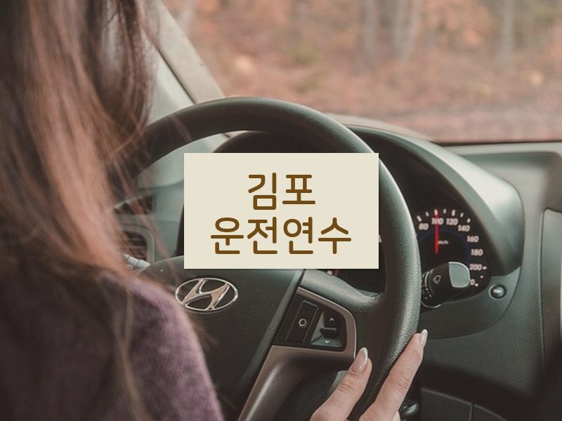 김포운전연수 후기