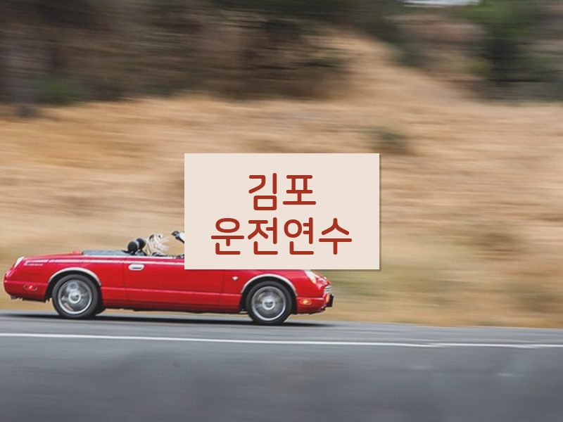 김포운전연수 후기