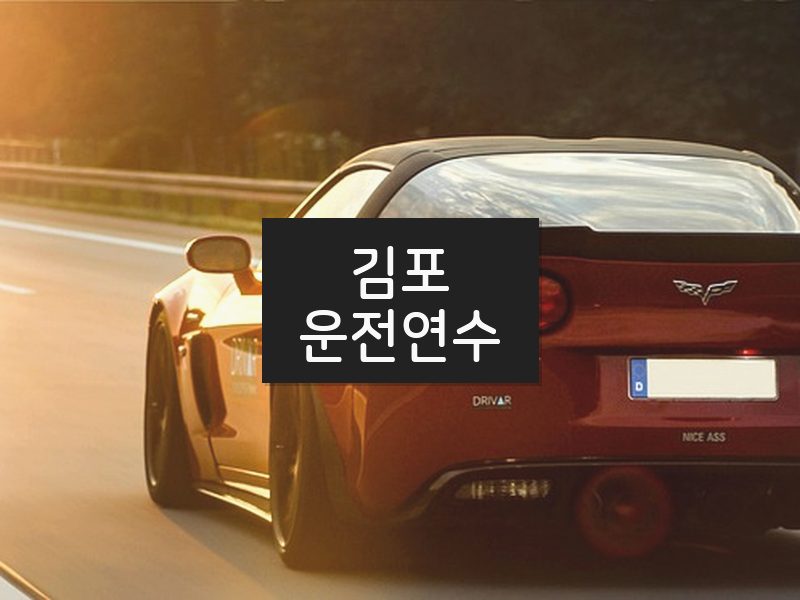 김포운전연수 후기