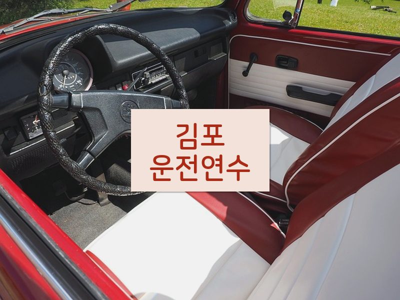김포운전연수 후기