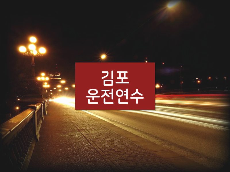 김포운전연수 후기