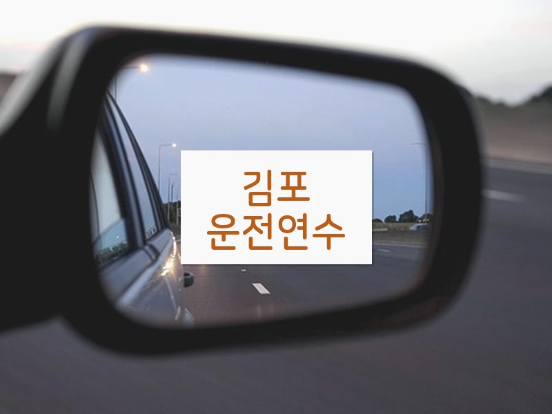 김포운전연수 후기