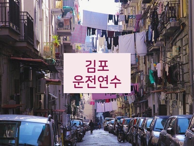 김포운전연수 후기