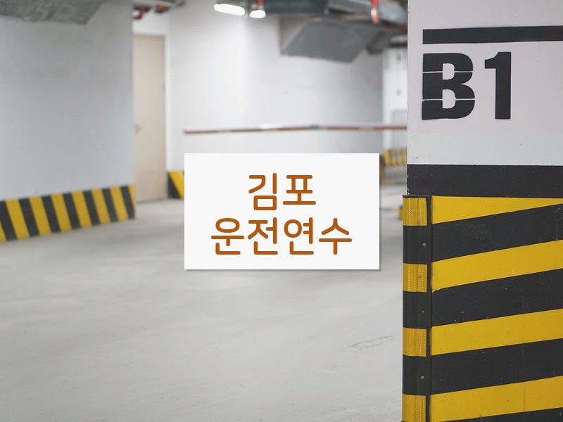 김포운전연수 후기
