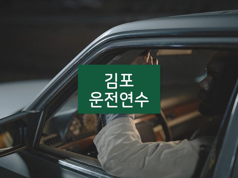 김포운전연수 후기