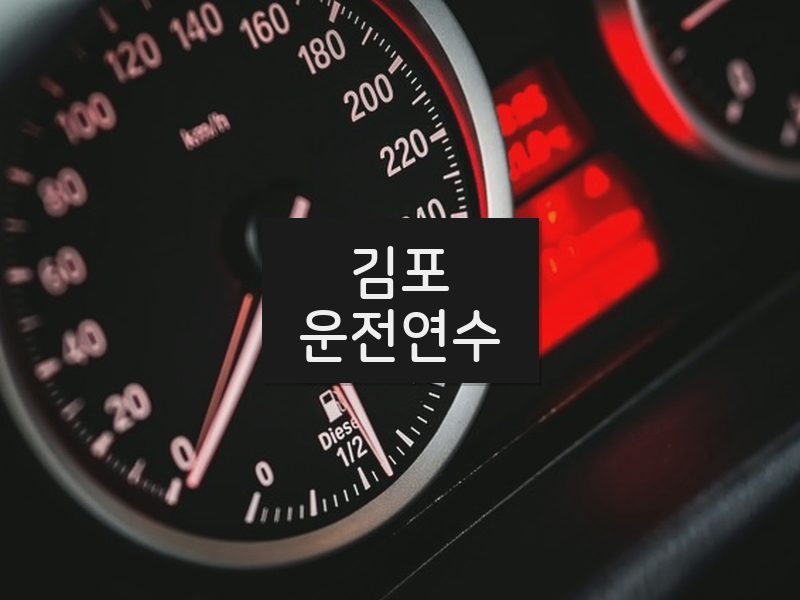 김포운전연수 후기