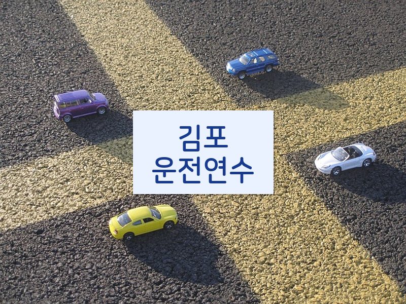 김포운전연수 후기