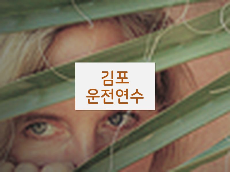 김포운전연수 후기