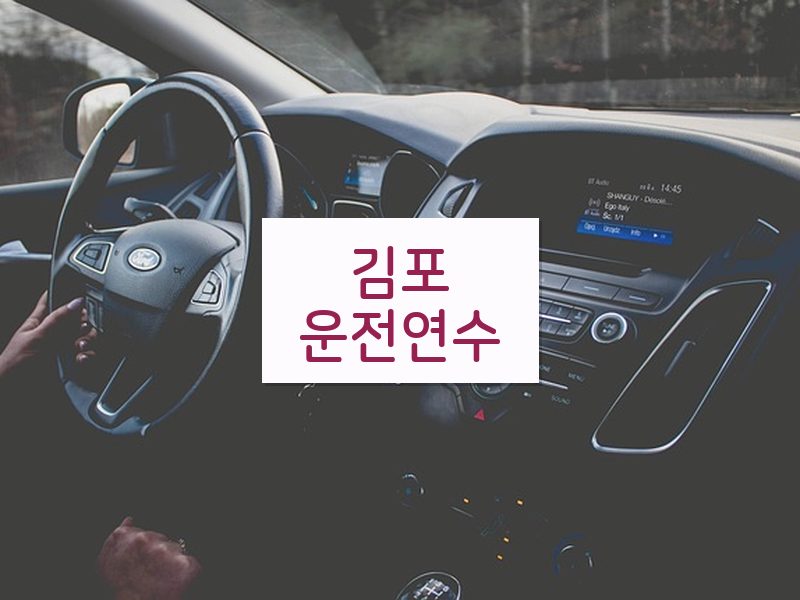 김포운전연수 후기