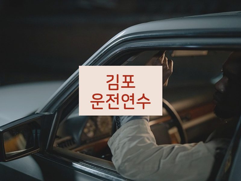 김포운전연수 후기