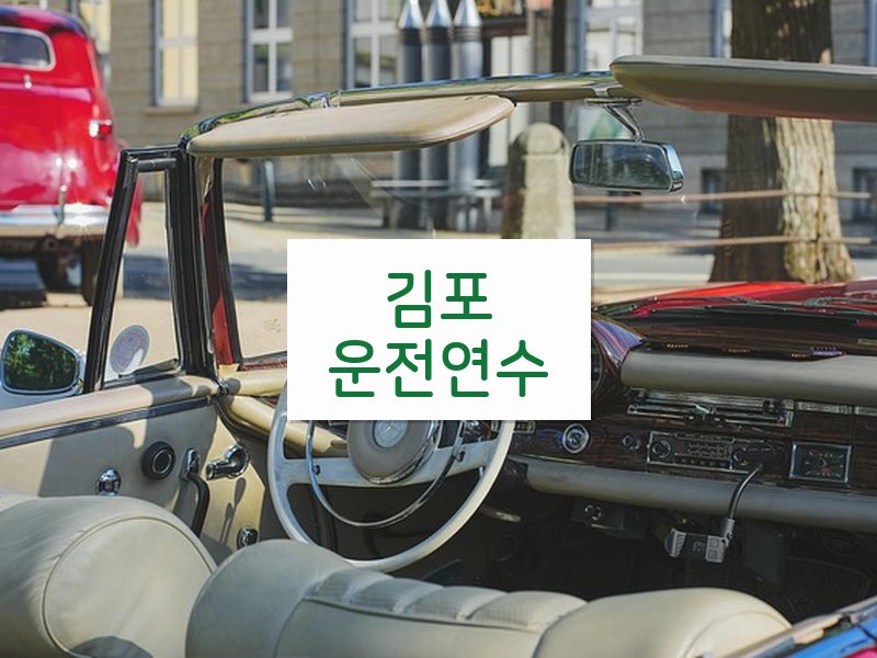 김포운전연수 후기
