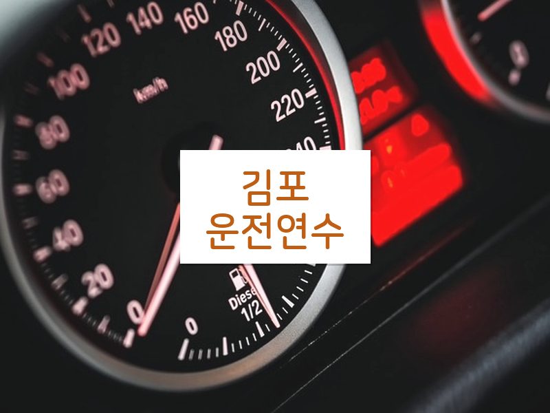 김포운전연수 후기