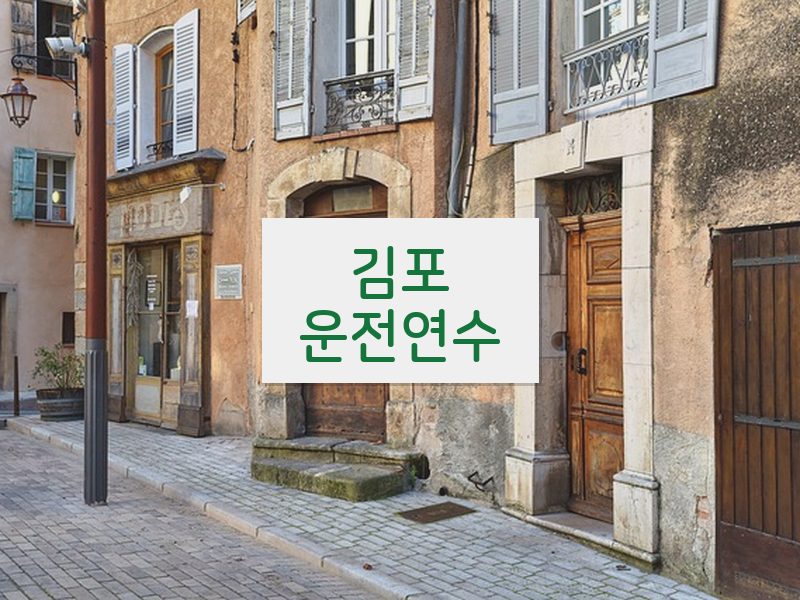 김포운전연수 후기