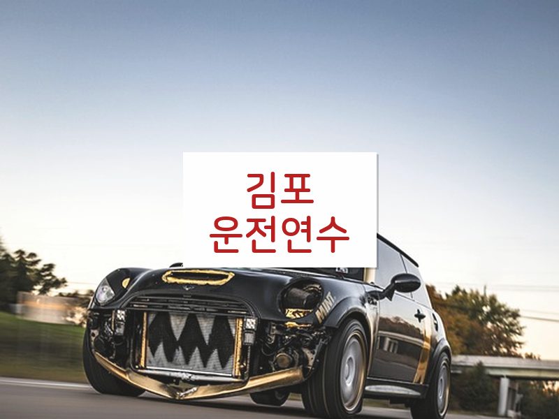 김포운전연수 후기