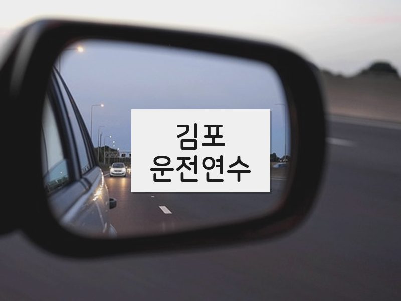 김포운전연수 후기