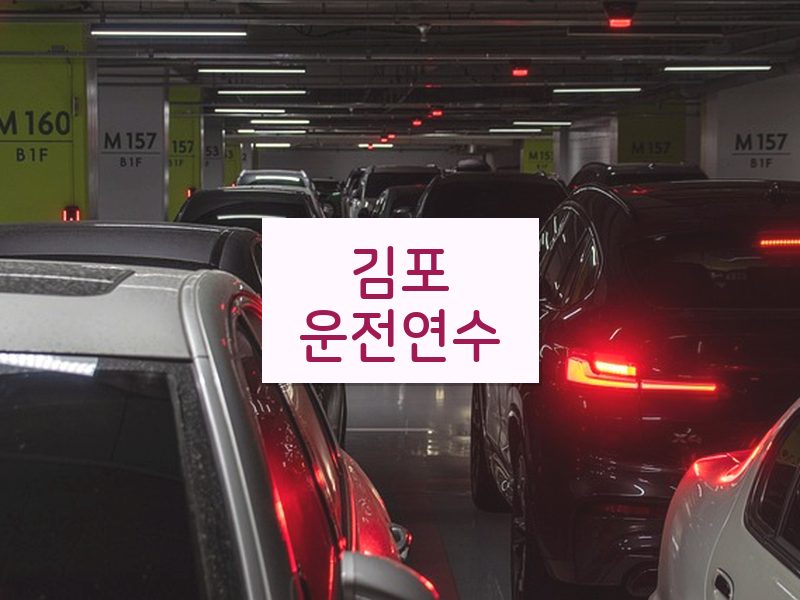 김포운전연수 후기