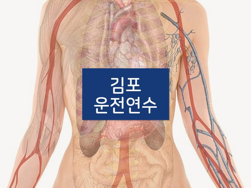 김포운전연수 후기
