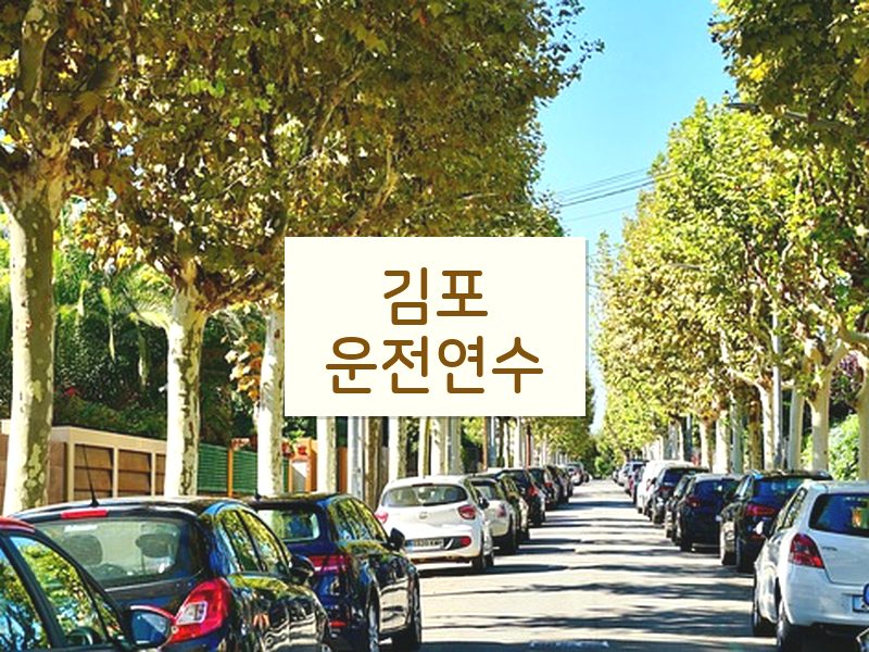 김포운전연수 후기