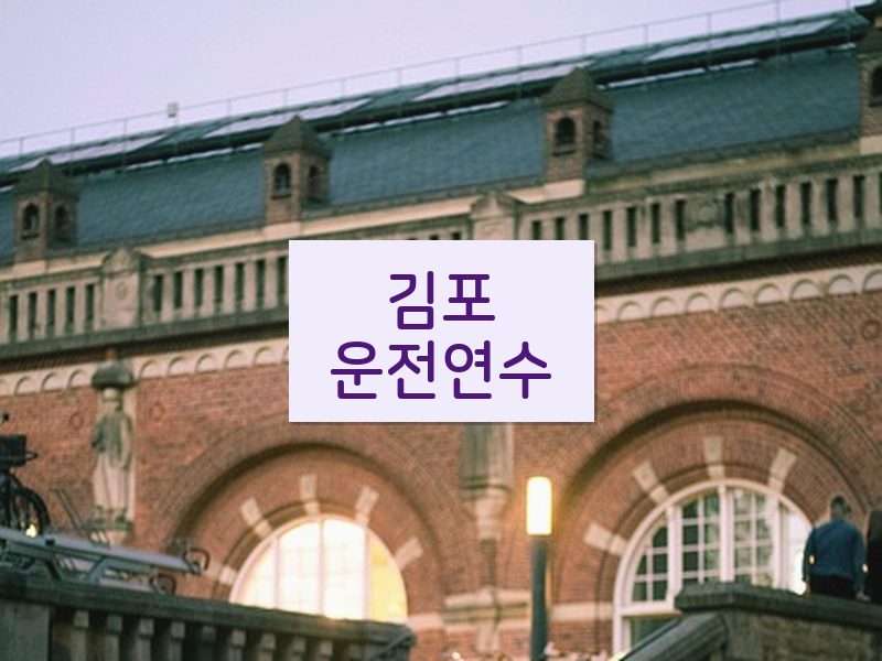 김포운전연수 후기