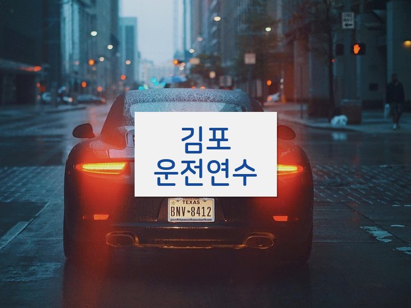 김포운전연수 후기
