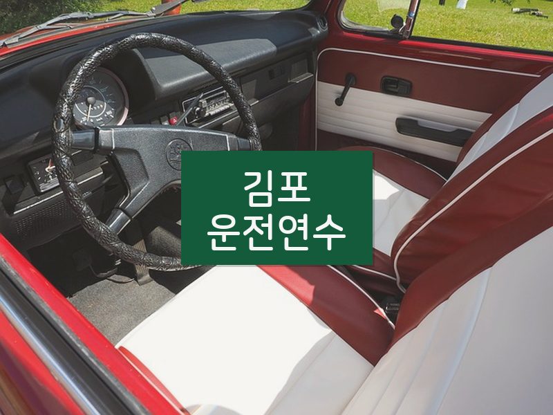 김포운전연수 후기