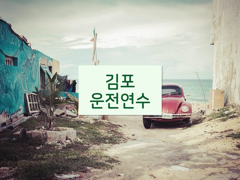 김포운전연수 후기