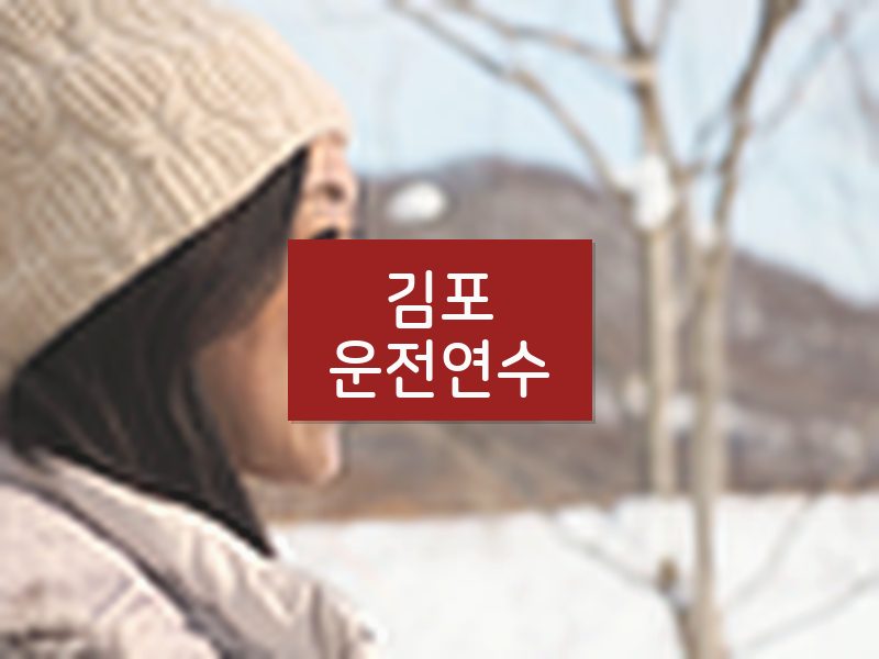 김포운전연수 후기
