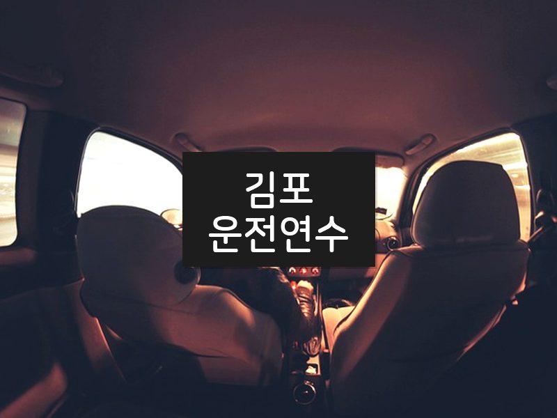 김포운전연수 후기