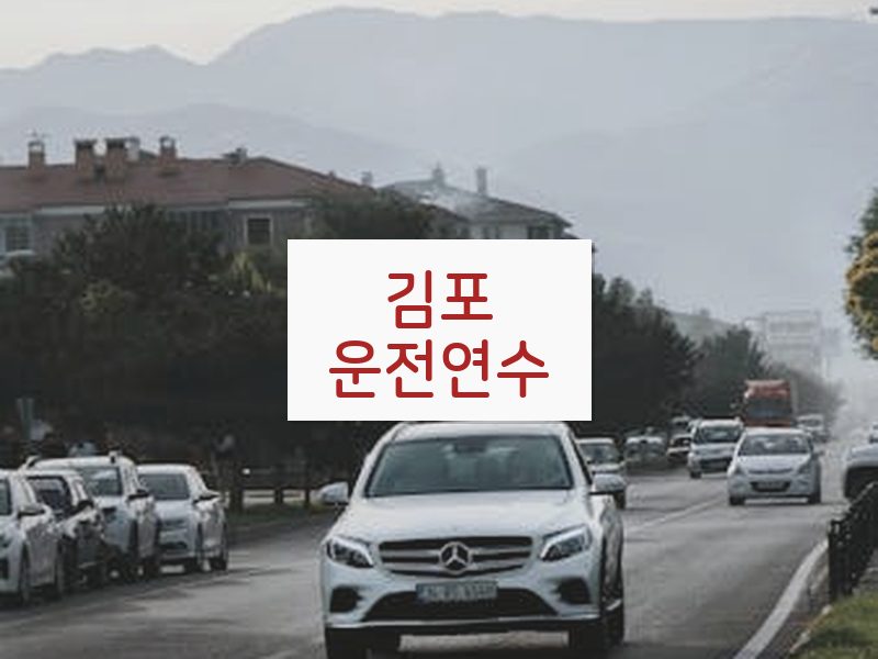 김포운전연수 후기