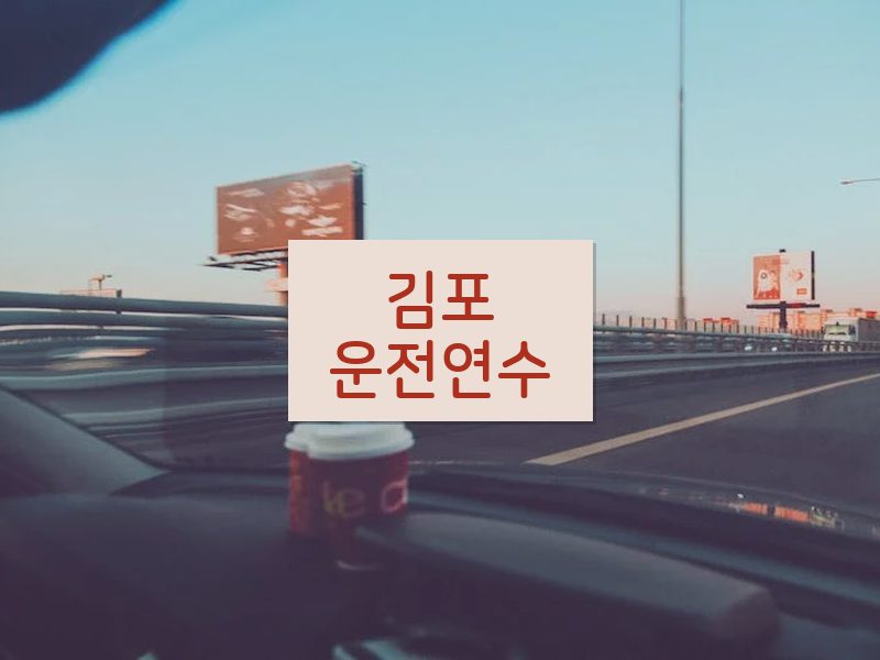 김포운전연수 후기
