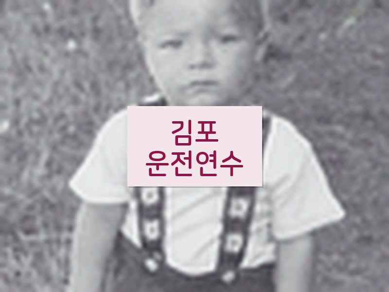 김포운전연수 후기