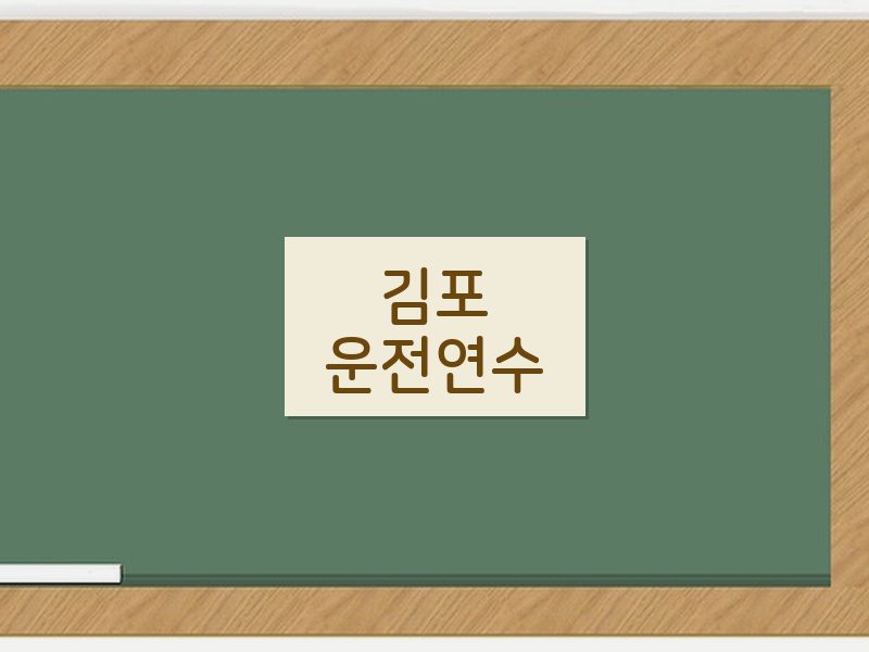 김포운전연수 후기