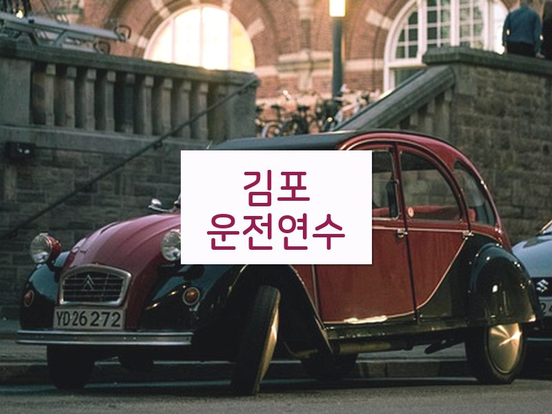 김포운전연수 후기